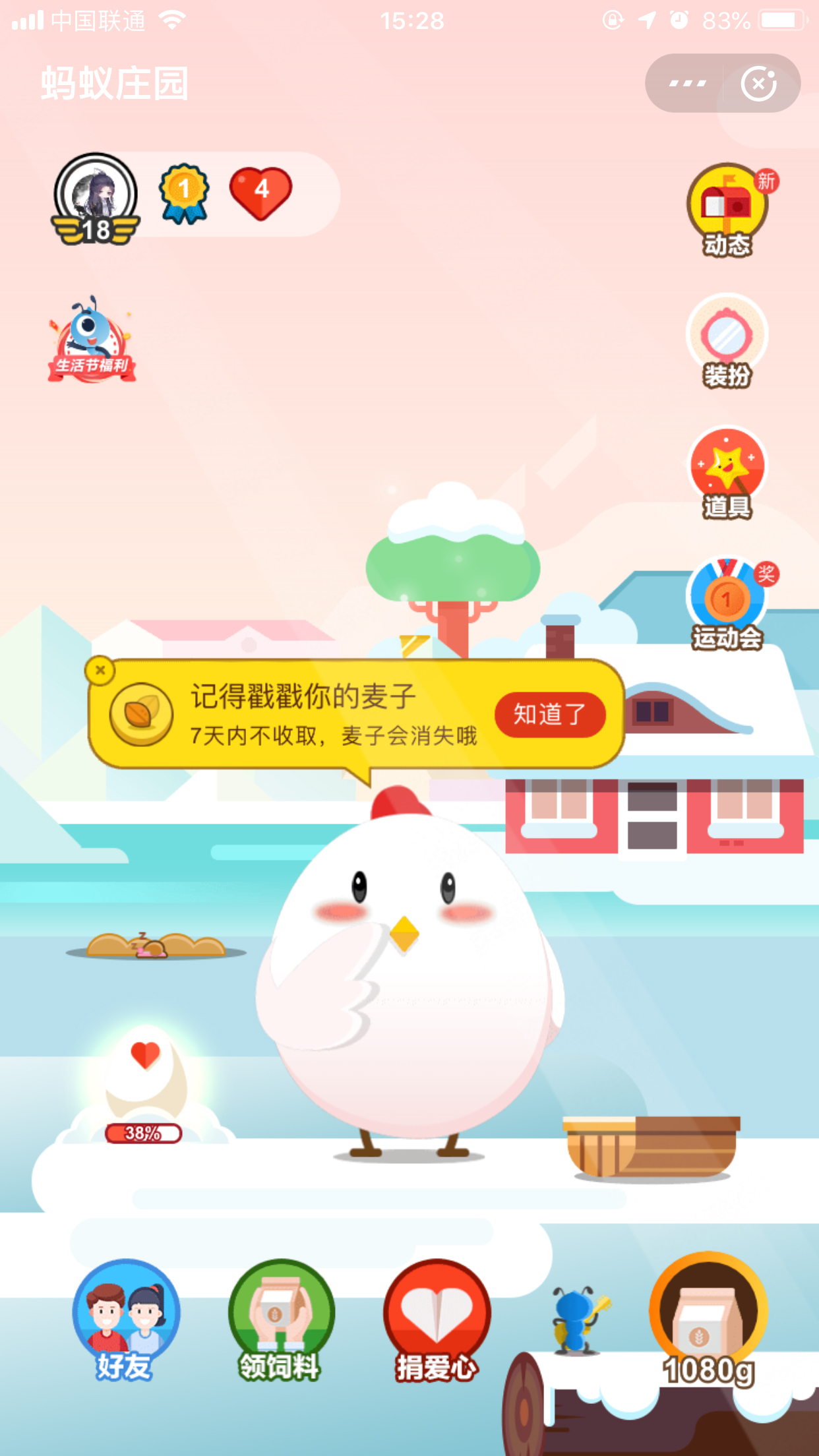 支付宝喂鸡方法步骤