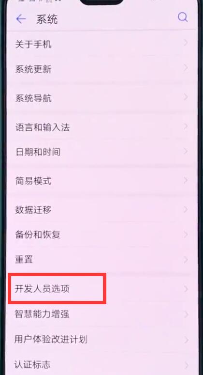 华为p20中打开开发人员选项的操作步骤