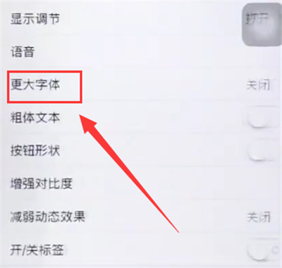苹果6plus中调整字体大小的详细步骤