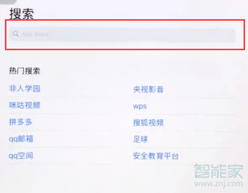 ipad进行下载软件的详细步骤