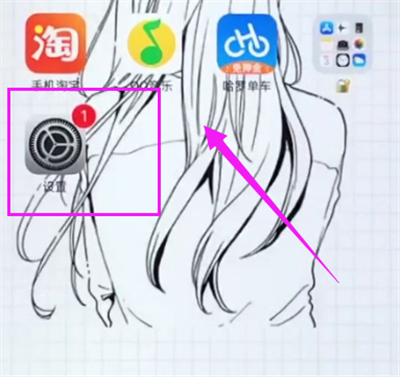 iphone6plus开启电量百分比的具体方法