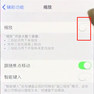 iphonex中使用缩放的操作步骤