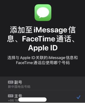 iPhone 11设置双卡双待功能的详细讲解