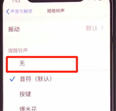 iphone11中关闭短信铃声的详细方法