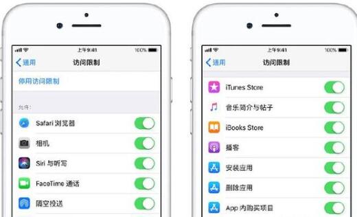 iOS使用访问限制的详细讲解