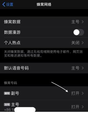 iPhone 11设置双卡双待功能的详细讲解