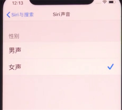 iphone11中设置siri性别的详细方法