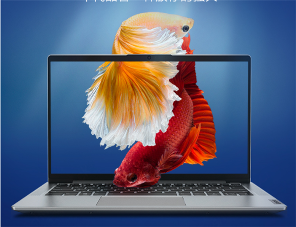 第一款MX350独显笔记本特惠：十代i5 仅4299元