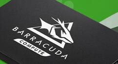 希捷带来酷鱼Q1硬盘：480GB起