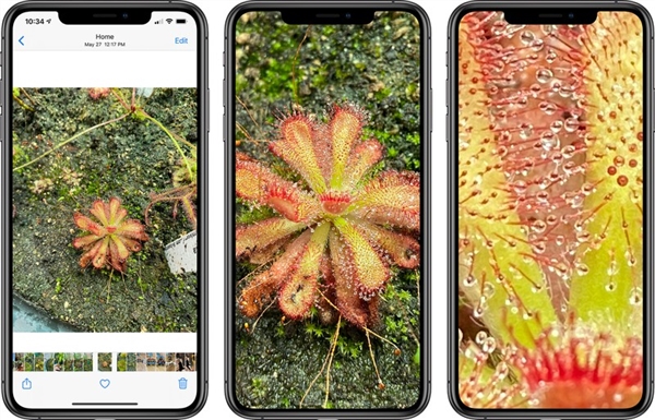 必须升！iOS 14照片放大倍数明显增加