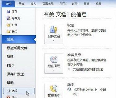 word2010文档窗口显示“开发工具”选项卡的简单方法