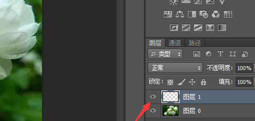 photoshop cs5新建图层的操作流程