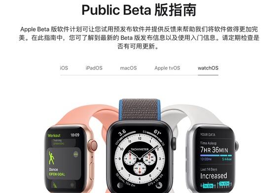 苹果第一次上线watchOS 公测版