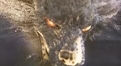 魔幻动作RPG《黑神话：悟空》公布：值得一玩！