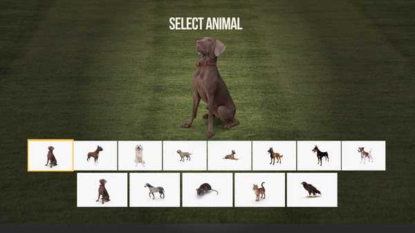 新作《动物训练师》登录Steam