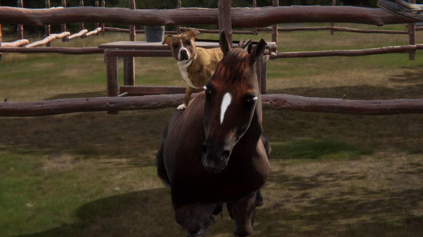 新作《动物训练师》登录Steam