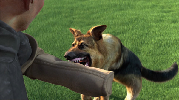 新作《动物训练师》登录Steam