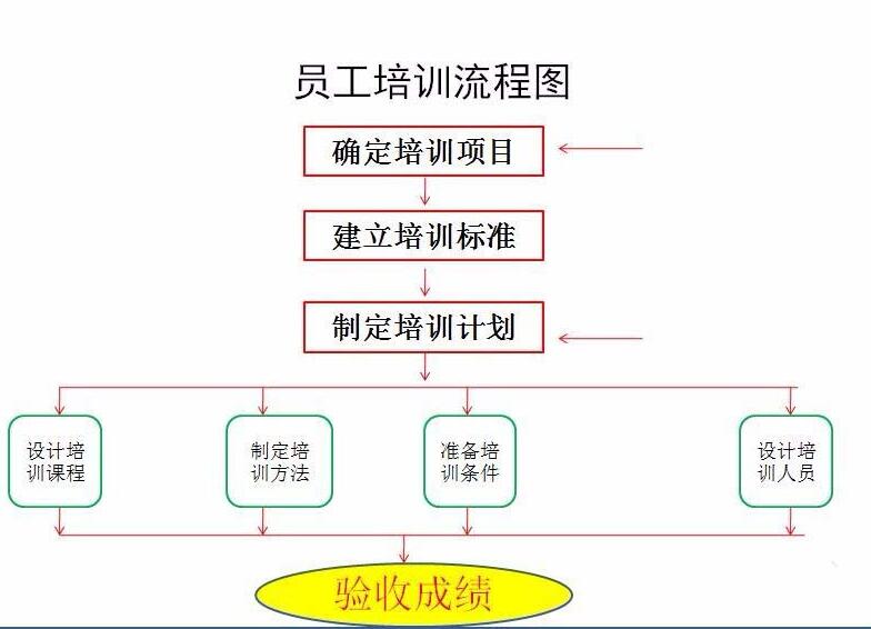 PPT怎样设计员工培训流程图 PPT设计员工培训流程图的详细步骤