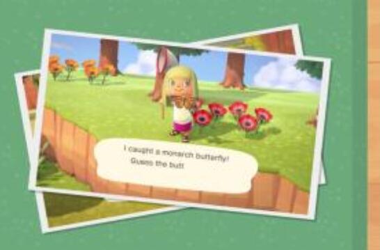 Switch游戏《集合啦!动物森友会》9月新增内容发布 追加蟋蟀等一系列昆虫