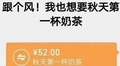 秋天的第一杯奶茶怎么回复? 秋天的第一杯奶茶发朋友圈的相关介绍