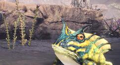 《怪猎世界：冰原》公布出第五弹情报 加入怪物黑龙登场