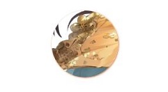三国志幻想大陆貂蝉皮肤怎么样 大陆貂蝉广寒仙子皮肤介绍