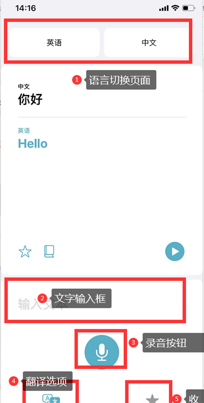 ios14翻译怎么使用 ios14翻译使用教程