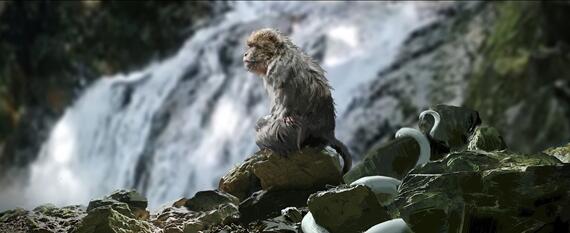 《黑神话：悟空》新图爆料：白龙非常帅