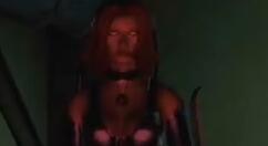 《吸血莱恩1+2加强版》什么时候出 11月20日发售