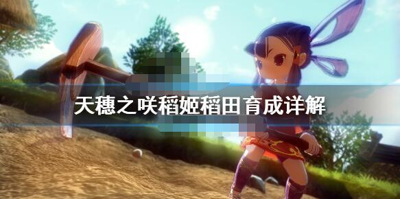 天穗之咲稻姬水稻怎么种 天穗之咲稻姬稻田育成详解