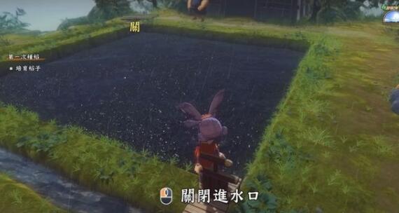 天穗之咲稻姬水位怎么合理控制 天穗之咲稻姬田地水位要点分享