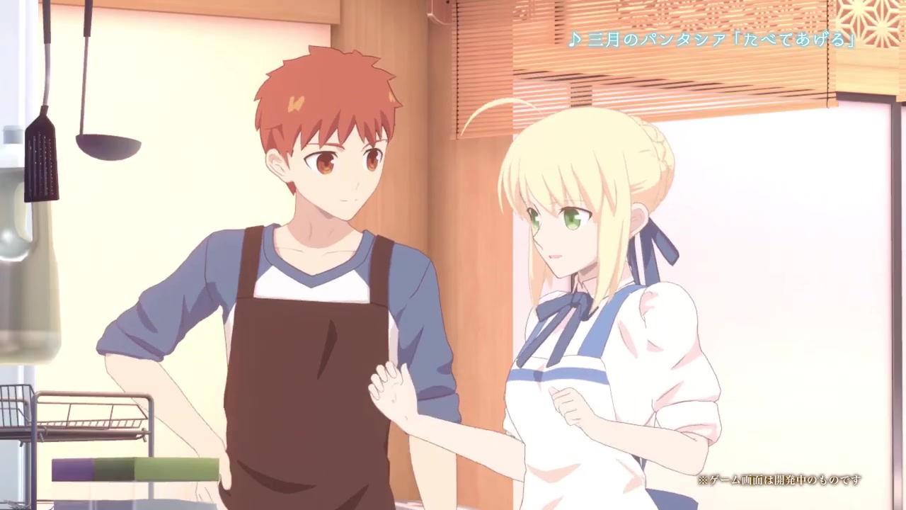 烹饪游戏《卫宫家今天的饭》再度延期 发售日待定