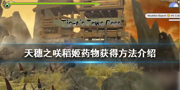 天穗之咲稻姬药物采集位置汇总 穗之咲稻姬药物在哪可以获取