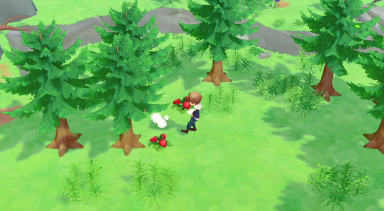 《牧场物语橄榄镇与希望的大地》什么时候出 2021年2月25日发售