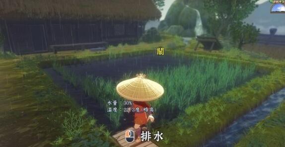 天穗之咲稻姬水位怎么合理控制 天穗之咲稻姬田地水位要点分享