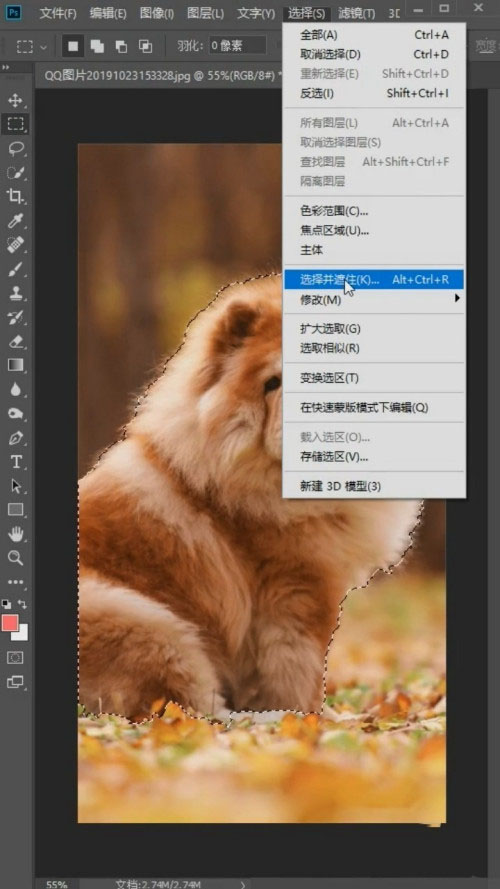 Photoshop怎么抠狮子狗?Photoshop抠狮子狗教程