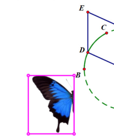 几何画板如何绘制蝴蝶动画 几何画板蝴蝶动画设计方法