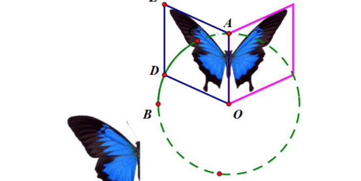 几何画板如何绘制蝴蝶动画 几何画板蝴蝶动画设计方法