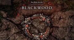 《上古卷轴OL》新章节“Blackwood”上架Steam 国区129元
