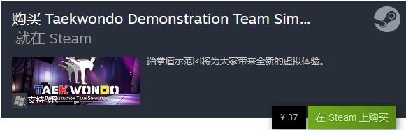模拟游戏《跆拳道虚拟示范团》上线Steam 支持简中