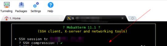 mobaxterm如何扫描端口 mobaxterm扫描端口方法
