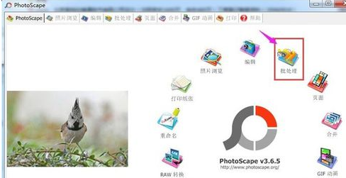 Photoscape怎样批量快速调整图片尺寸?Photoscape批量快速调整图片尺寸教程