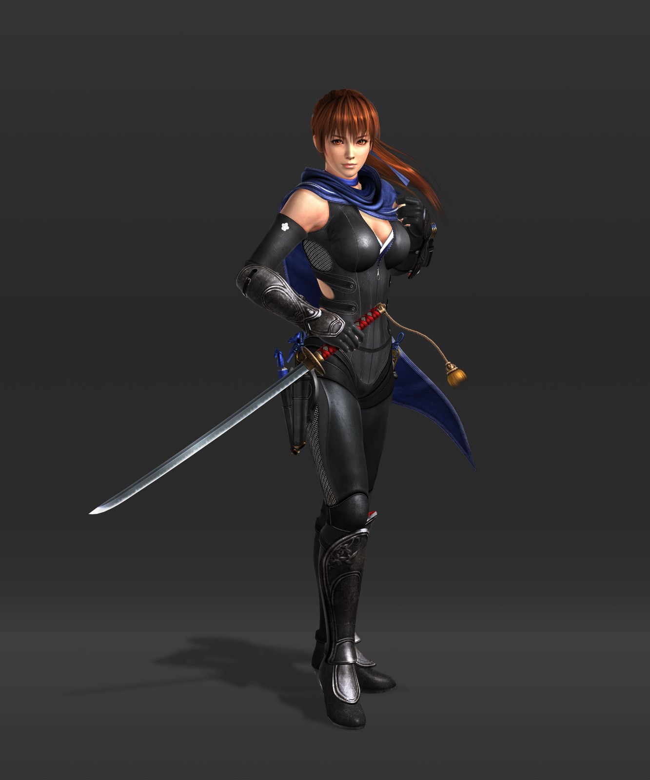 《忍者龙剑传：大师合集》中文版上线官网 6月10日推出