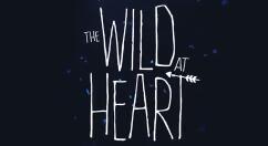 《狂野之心》上架Steam 5月20日发售支持简中