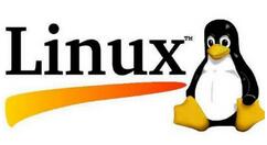 红旗 Linux 社区升级改版 全新域名为 linuxsir.cn