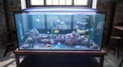 水族箱模拟新游《水族饲养员》公布 预计2022年5月发售