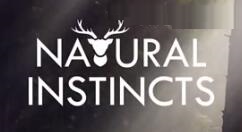 休闲探索游戏《自然本能》上架Steam 7月2日发售