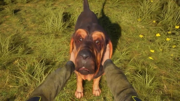 《猎人：野性的呼唤》新DLC“BLOODHOUND”发售