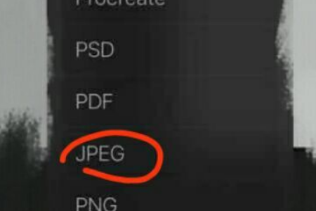 procreate怎么保存到相册?procreate保存到相册的方法