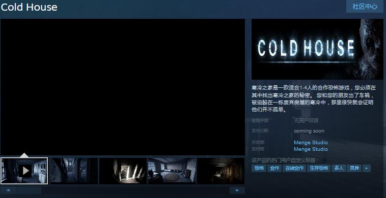 合作生存恐怖游戏《寒冷之家》上架Steam 支持中文